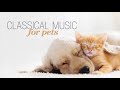 Classical Music for Pets