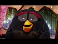 Anger Management Class Scene - The Angry Birds Movie (2016)