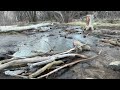 Infant Sasquatch Footprints in Mud