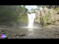 RINDIK BALI PALING BANYAK DI PUTAR DENGAN PEMANDANGAN AIR TERJUN TEGENUNGAN BALI