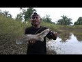 TAK DI DUGA..! DANAU YANG KAMI TEMUKAN MASIH DI HUNI IKAN GABUS BESAR || CASTING SNAKEHEAD