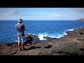 Exploring Hawaii's Natural Wonders in 4K | Koko Head, Hanauma Bay & Hawaii Kai Aerial Drone Footage