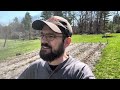 Planting Bare Root Everbearing Strawberry Plants