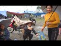 Harvest Grapefruit Goes To Village Market Sell - Drizzly Winter Weather - Animals Care - New Life