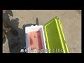 【永樂休閒海釣場】對付貓嘴的鯛科魚，揚竿時機，黑格班頭沉底訊號