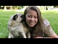 Celebrities Share What Their Pets Mean To Them - Best Moments! | My Pet Tale | TODAY Original