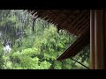 Rain on the corrugated iron roof 🎧Sleep, study, relax, meditate, White Noise, Rain Sounds the Nui