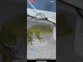 ChatARKit: Using Natural Language with ChatGPT to Create AR Experiences