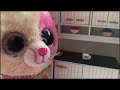 “Espresso” Beanie Boo Music Video