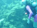 Little Cayman - Fellow Divers