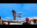 Veronika Dancing with  Dolphins