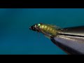 Fly Tying Antron Caddis Pupa 2.0 | Hackles & Wings