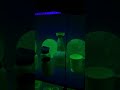 Franklin/Sterling Fluorescent Mineral Display 2 & Uranium Custard Glass