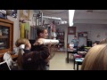 PVC pipe cannon in my chemistry class | Other