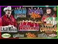 CORRIDOS MIX 2024 🔥Los Alegres,Los Cadetes De Linares,Los Tigres del Norte,Los Invasores,Ramon Ayala