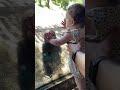 Baby Gorilla Meets Baby Human