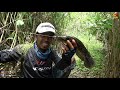 Joran si penakluk ikan di hutan rawa!!! Mancing terbaik di alam liar #SG-127