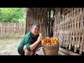 Giang thi ty: 1 working day, mother and child go to break corn to dry - single mother