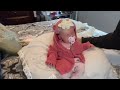 High end Reborn baby, LAURA By Bonnie Brown! Cutest baby Reveal and details EVER!