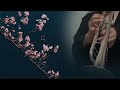 【トランペットソロ】さくらのうた | 福田洋介（吹奏楽コンクール課題曲）Sakura Song