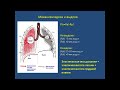 Анатомия и физиология - Лекция 58 - Вентиляция, эластическое сопротивление, атмосферное давление