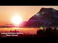 Deep Healing Music Relax Mind Body: Cleanse Anxiety, Stress & Toxins, Sleep Music, Relaxing Music
