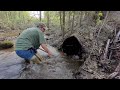 Unclogging, Water Drops 2 Feet In A Matter Of Minutes Releasing A Torrent Downstream