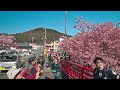 Best Early Sakura near Tokyo - 4K HDR - 3 hours - Japan Cherry Blossoms