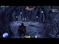 Elder Scrolls Online|Video Games