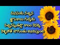 Famous Telugu Quotes in Jeevitha Satyalu  |  motivational video | Inspiring telugu video
