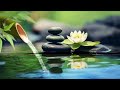 Relaxing music with the sounds of nature Bamboo Water Fountain [Healing music BGM] #11