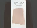 PAINT COLOR LOVE: Sashay Sand by Sherwin Williams. An amazing dusty rose paint color. #paintcolor