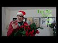 3 tips for Christmas and holiday entertaining: Irregular Wellness Update - Episode 6