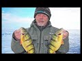 Perch Fishing For Dummies - Winter Edition