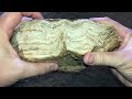 Finding Large Chunks Of Stromatolites