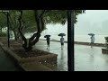 Walking in Heavy Rain in BRISBANE SOUTH BANK  and Nature Sounds 2022【4K】