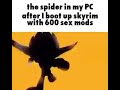 the spider in my pc after I boot up skyrim with 600 s*x mods