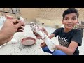 Palti Maar Kabootar Mil Gaya 🤪 Buying New Pigeon 🥰 Arman Birds 🐦 Vlog