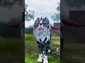 Warrior Cats Ultimate Edition TikTok Compilation! - ROBLOX