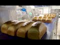Satisfying Videos ▶Modern Food Processors Operate At An Insane Level 49