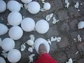End of Performance destruction of balloons
