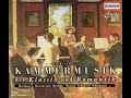 String Quintet in E Major, Op. 11, No. 5, G. 275: III. Minuetto