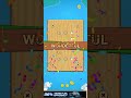 Wood Screw Puzzle | 1-3 Level