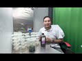 Germinate OLD SEEDS Using Hydrogen Peroxide UPDATE + Answering  Your Questions!