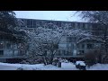 ❄️ Winter in Finland || Suomen talvi (part 4)