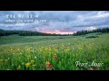 [Peace Music] Schumann - Träumerei 1hr Repeat