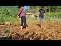 Husband and wife corn planting session - rural life