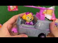 PAW PATROL VIDEO | Unboxing Paw Patrol Collection Review Toys | Skye | Candy ASMR Opening | Yummy