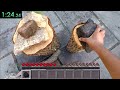 Real Life Minecraft Speedrun...