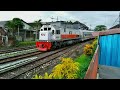 Cinematic train #9 train in D9 banyuwangi and jember in track of very beautiful scenery train line 🚂